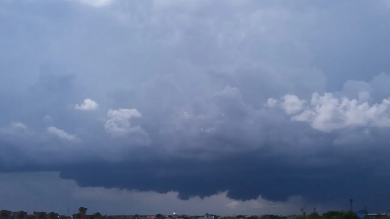 20190714_152832.jpg