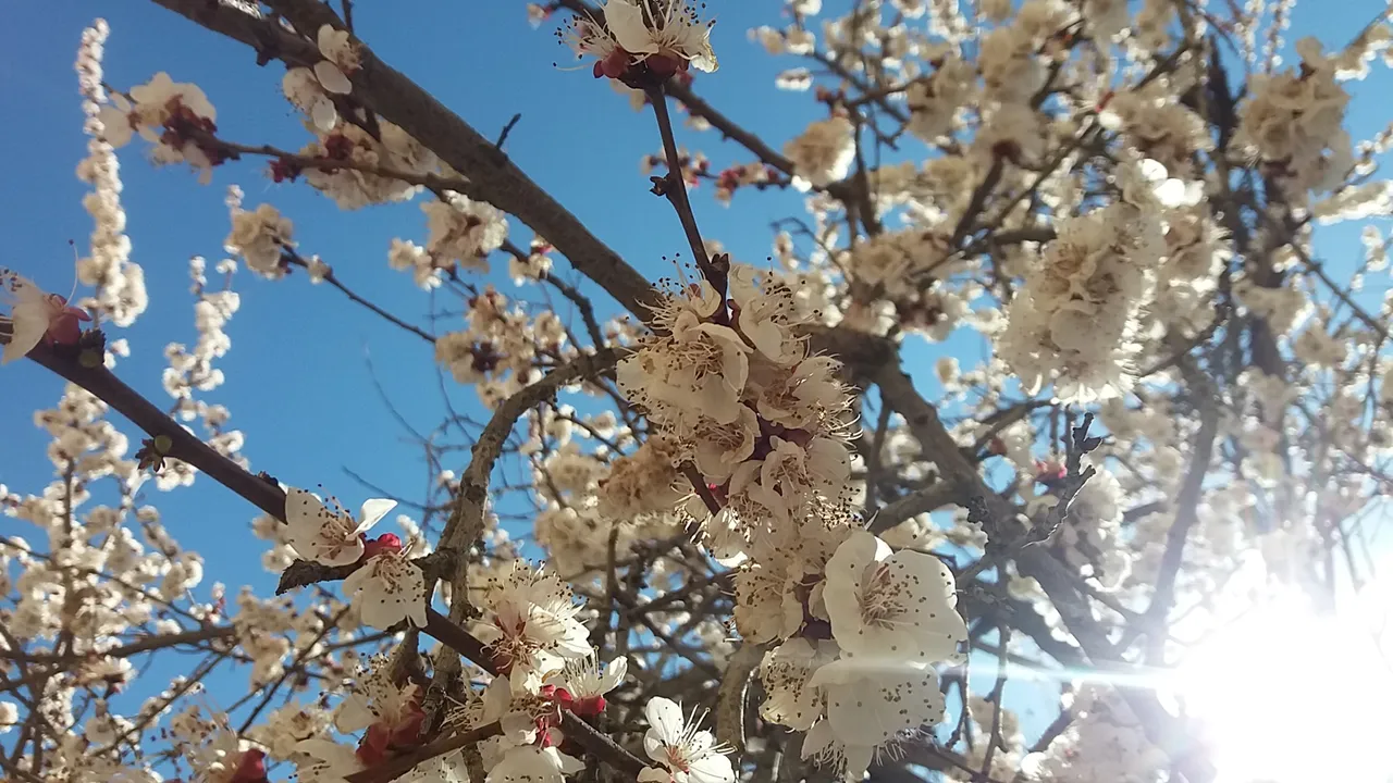 20190319_145129.jpg