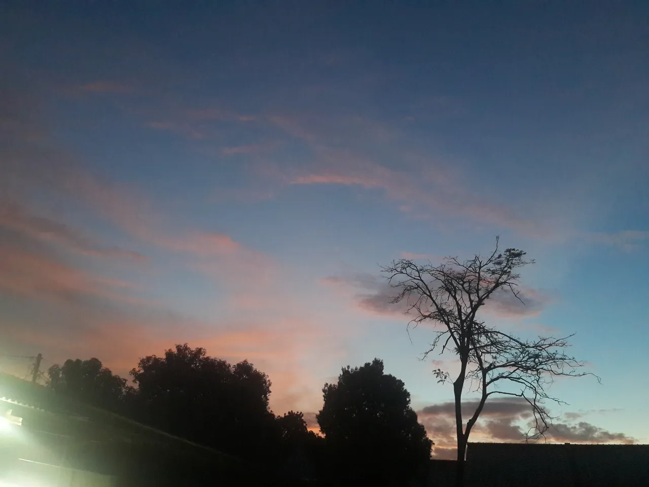 20190205_183848.jpg