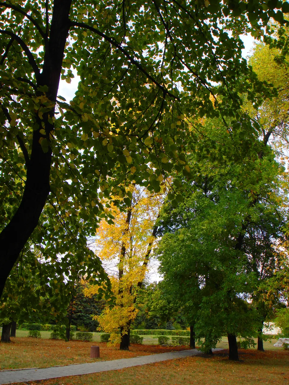 DSC01759-222222.jpg