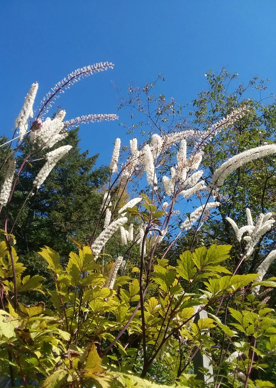 20190922_173305.jpg