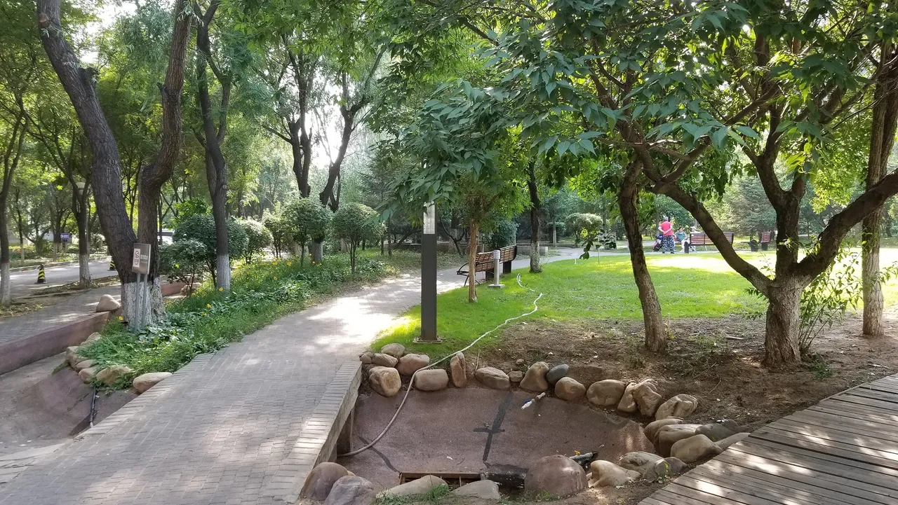 20180623_161856.jpg