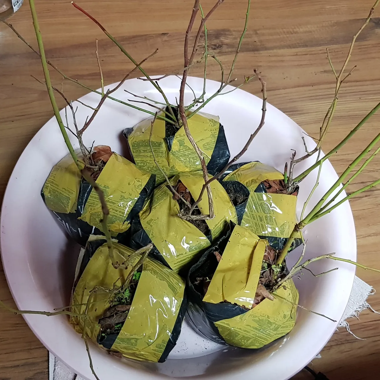 20190407_183851.jpg