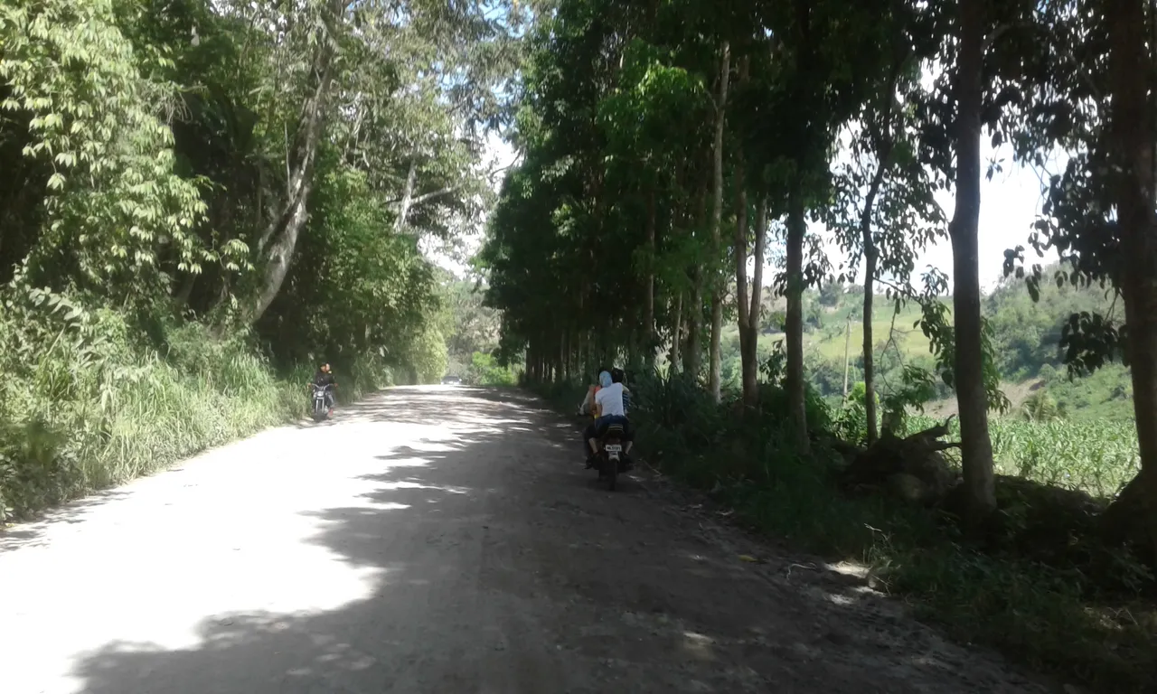20190524_090046.jpg