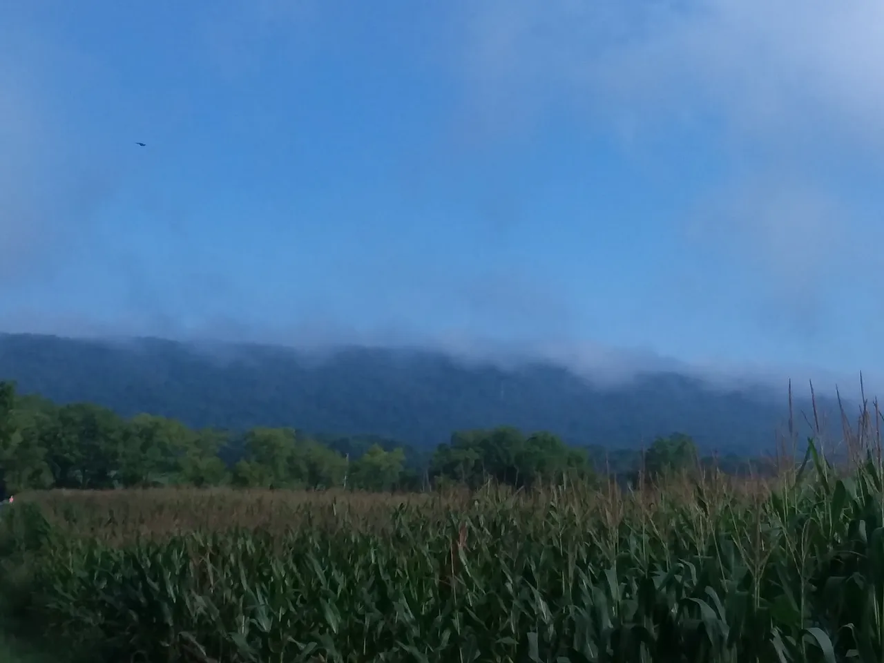 20180813_093343.jpg