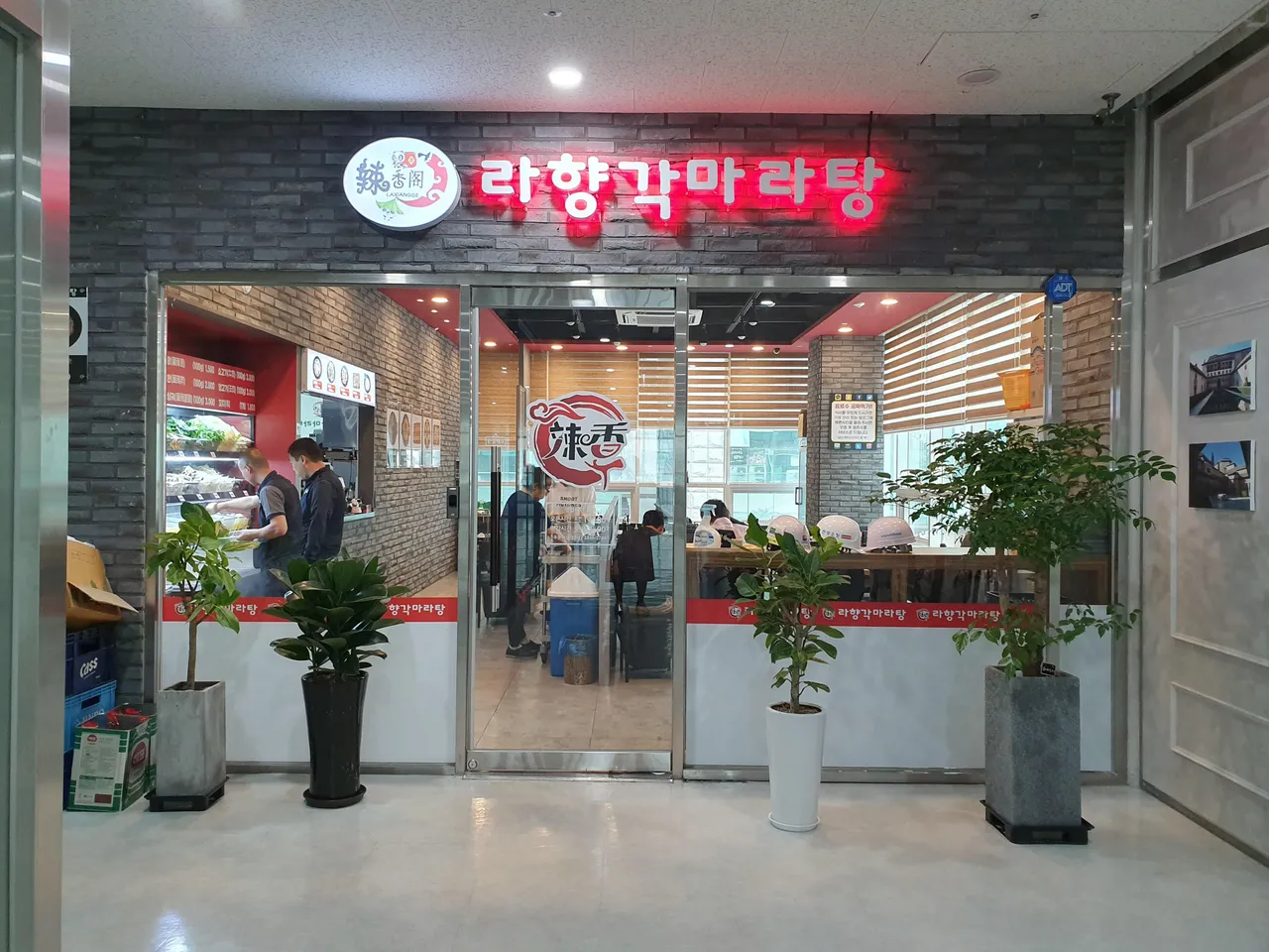 20190626_113219.jpg