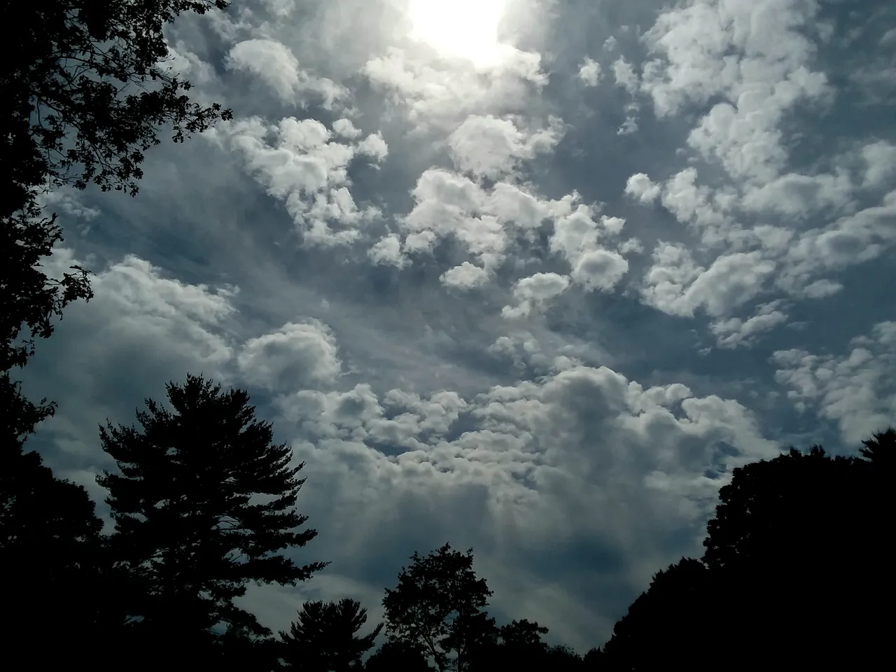 20190703_162537.jpg