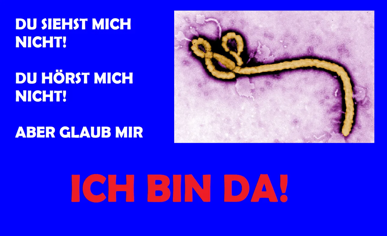 EBOLA WARNUNG.png