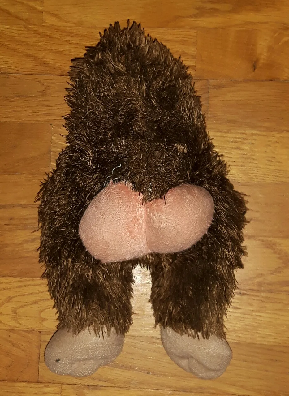 20190223_015140.jpg