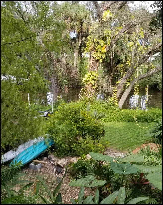 20180926_164003.jpg