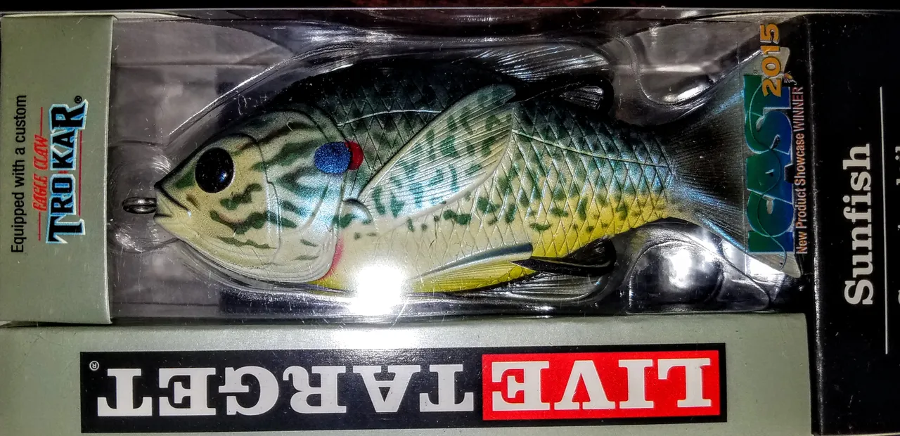 20190307_210713.jpg