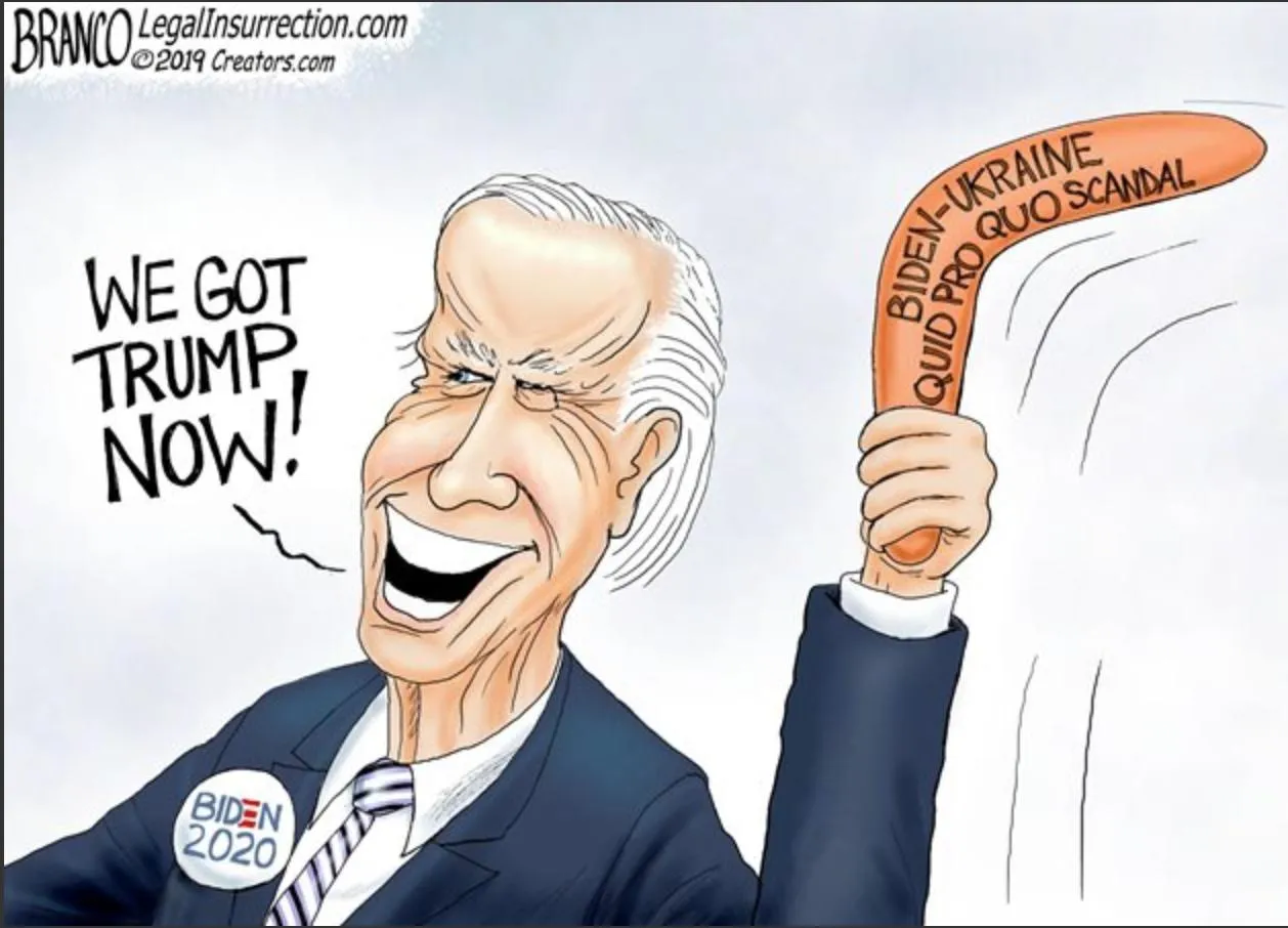 Biden cartoon.jpg