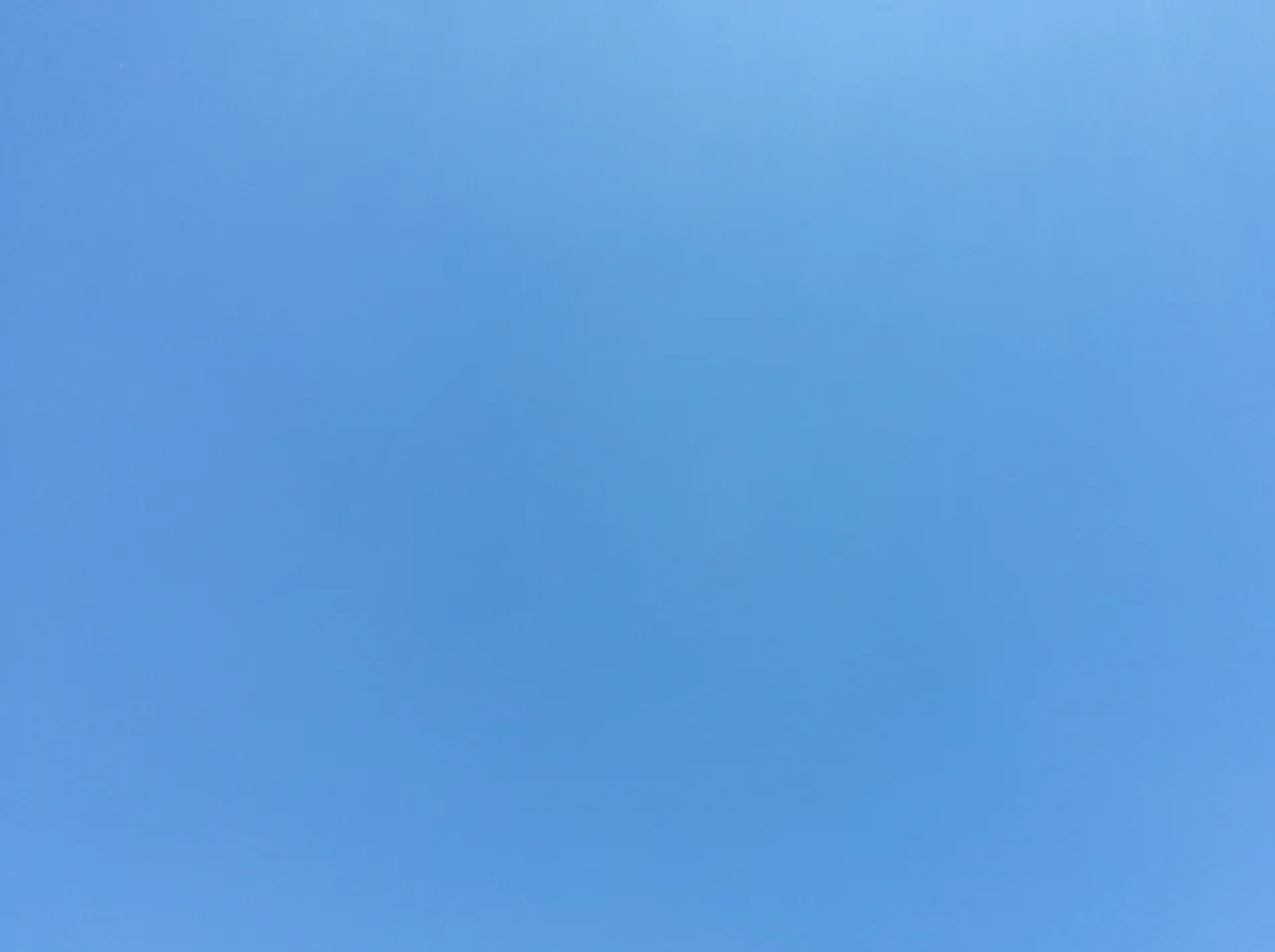 20180702_103047.jpg