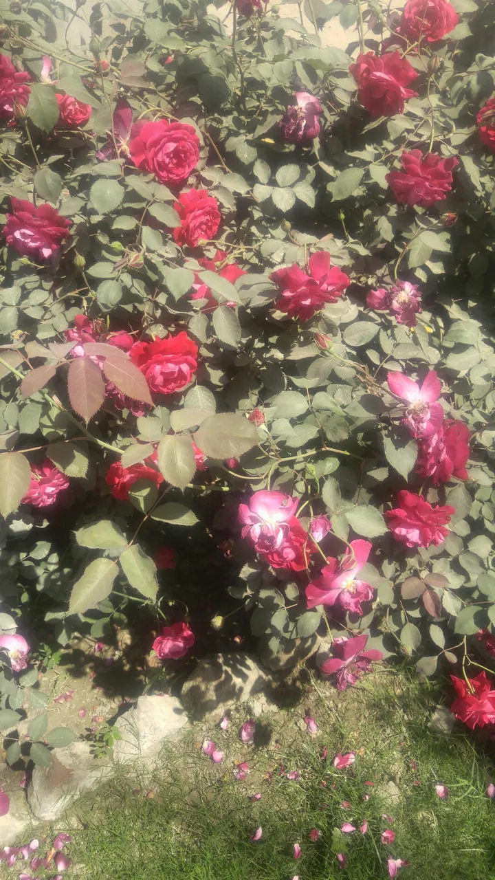 20190402_112356.jpg