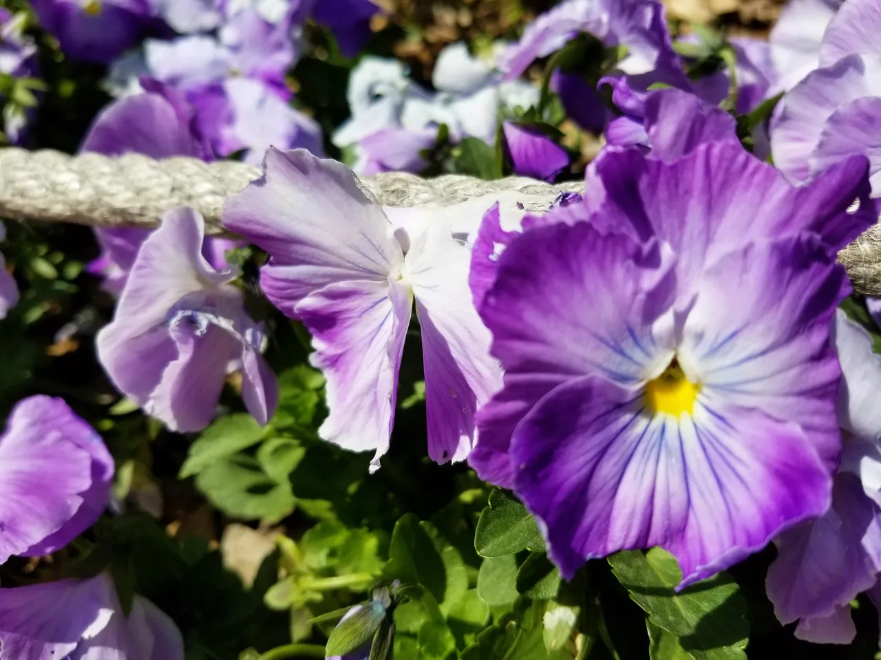 20180415_145206.jpg