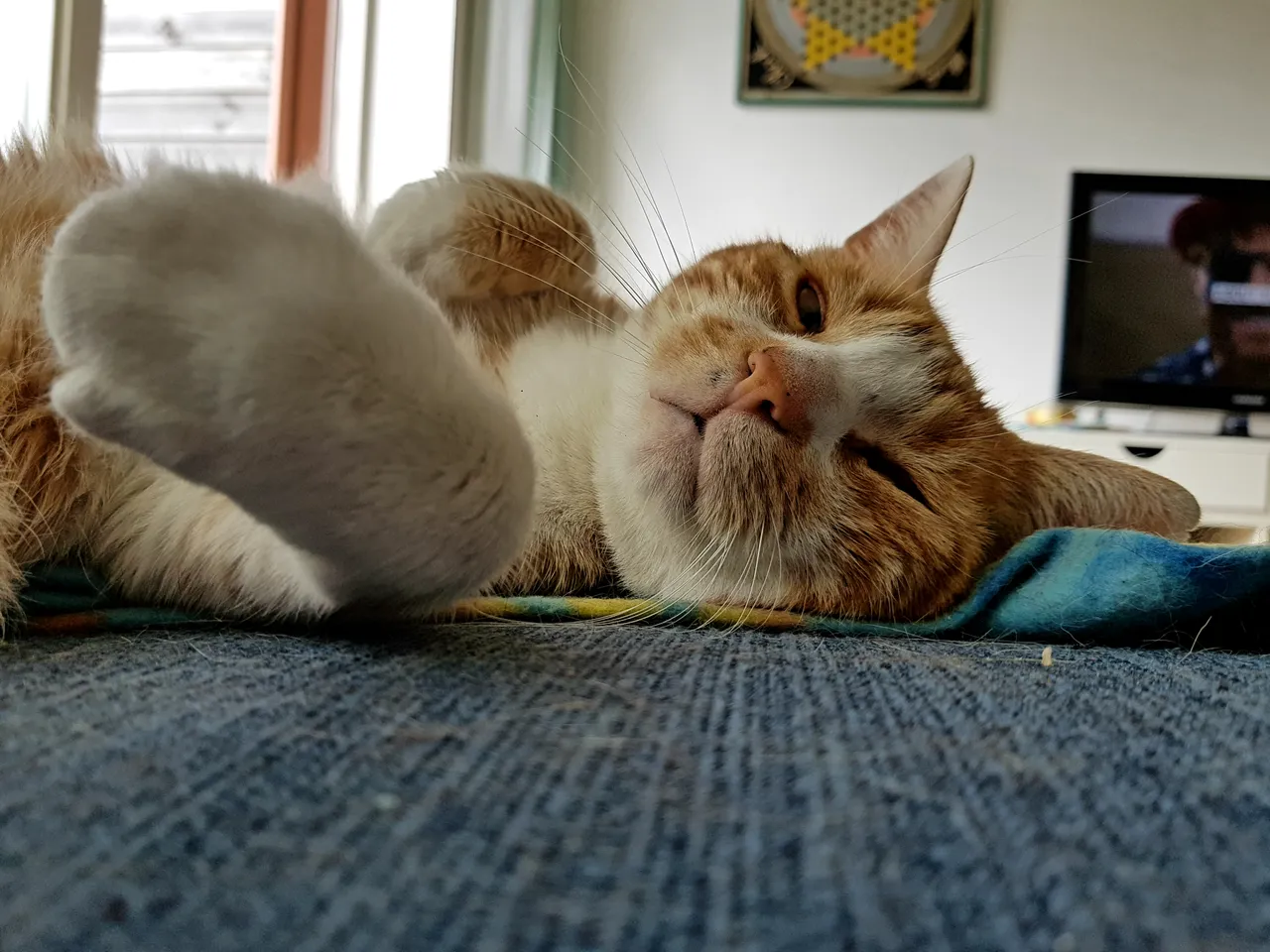20180810_164207.jpg