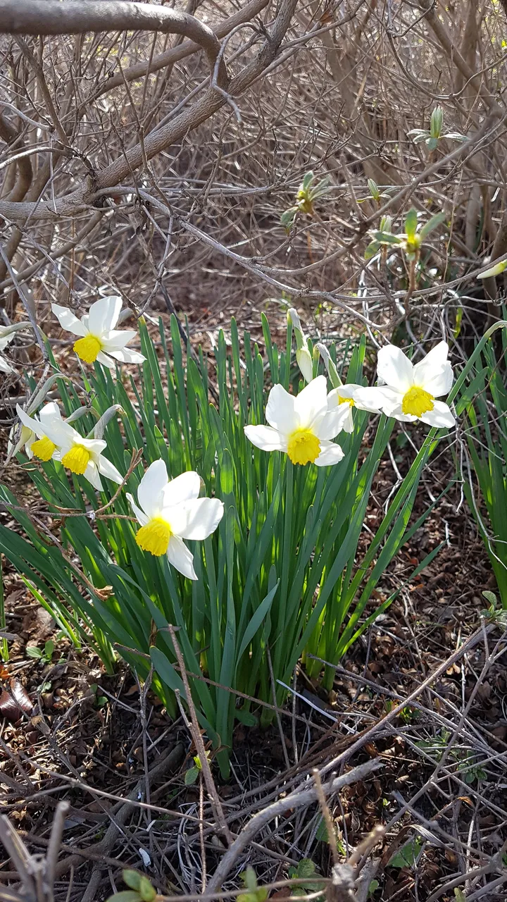 20190405_163539.jpg