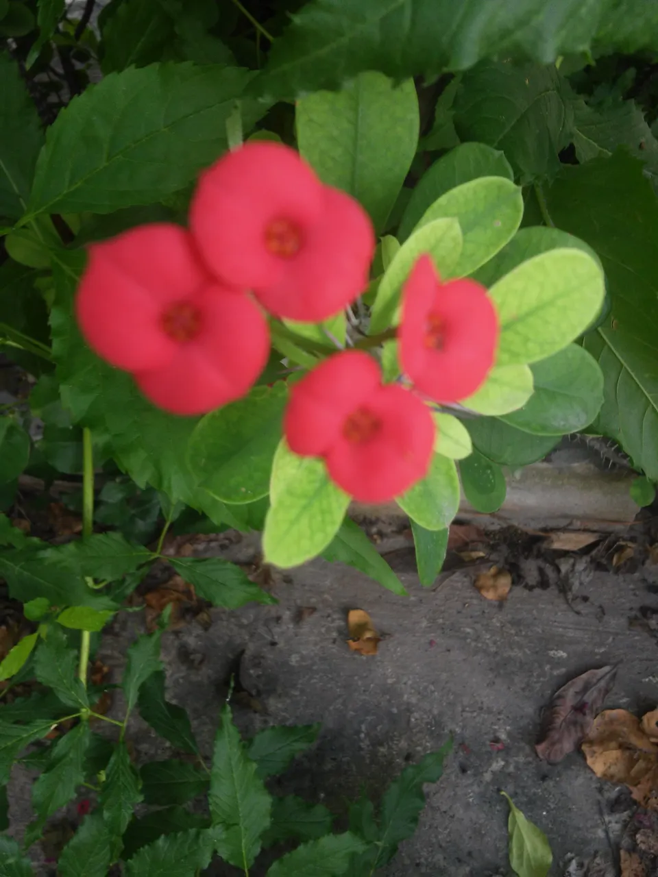 20181209_102742.jpg