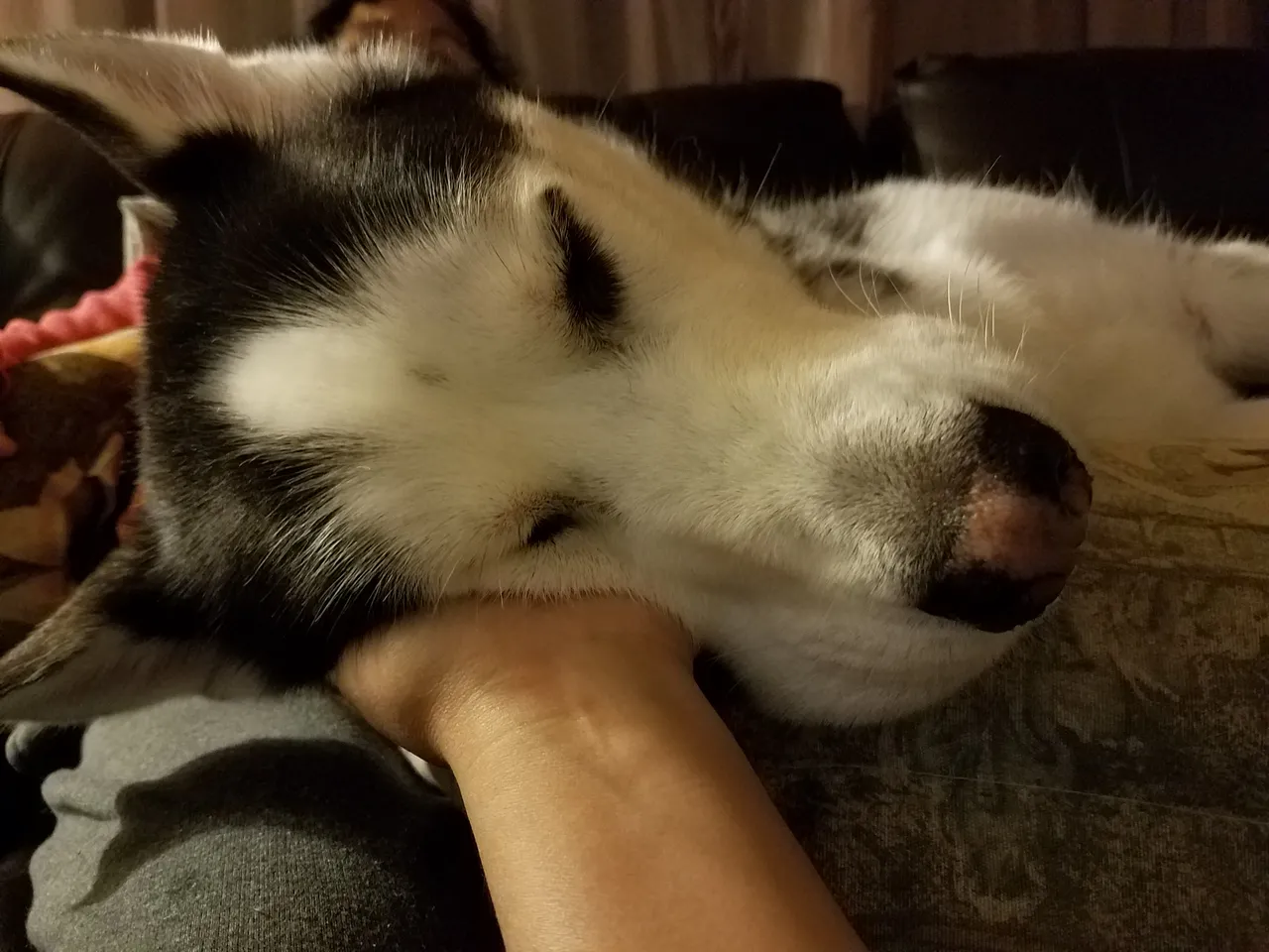20181105_203402.jpg