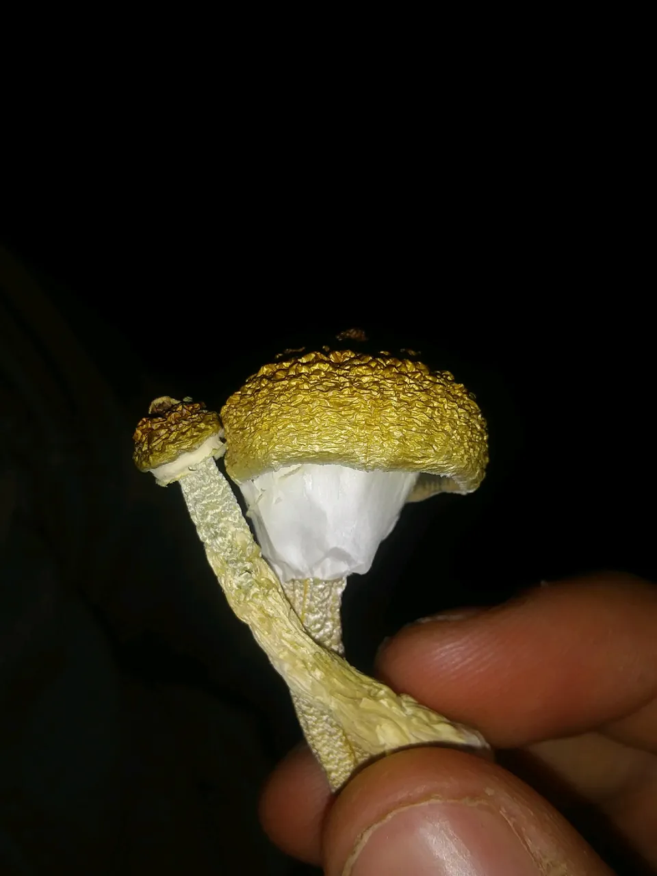 20180808_224137.jpg