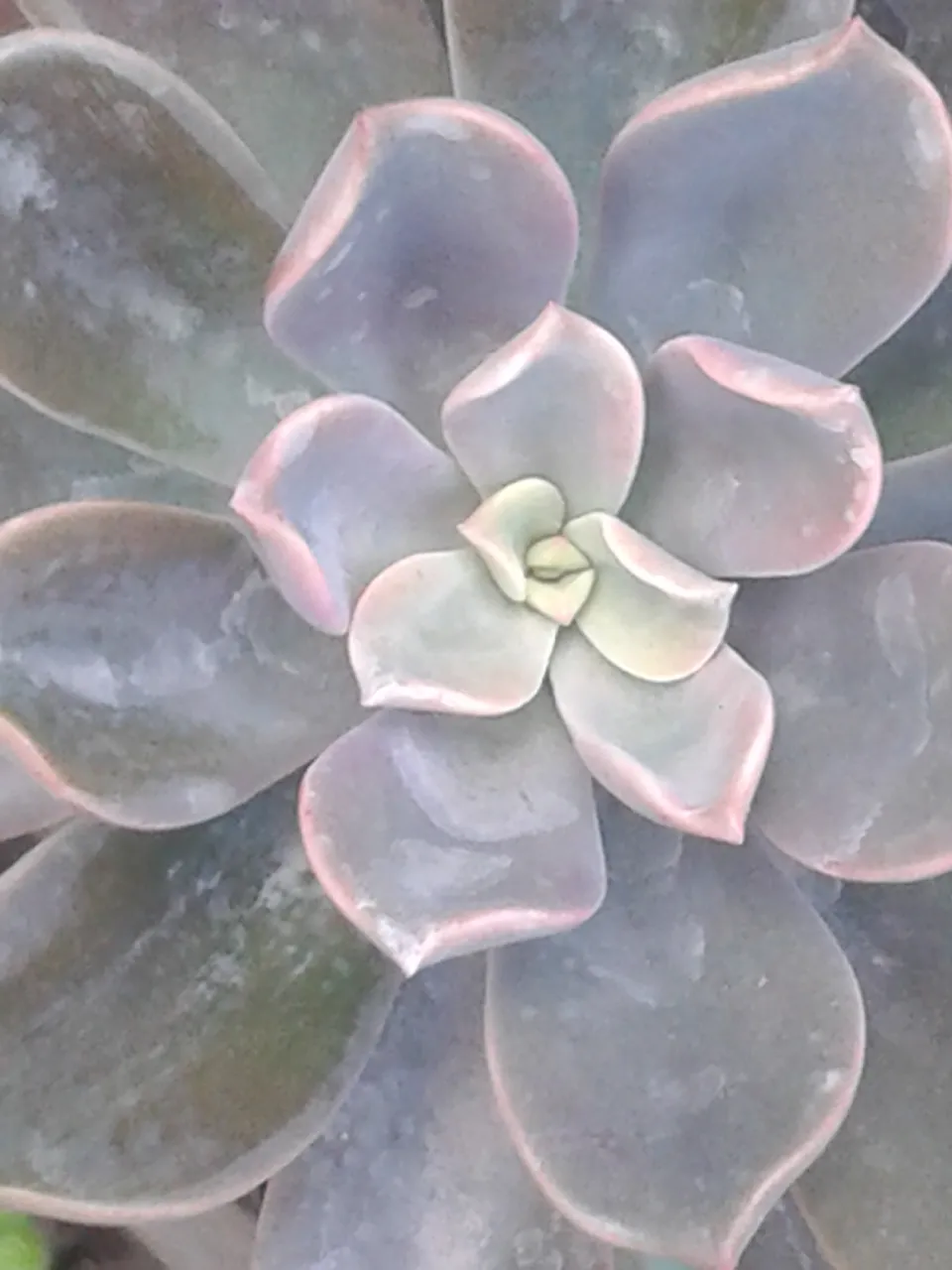 20190528_180205.jpg