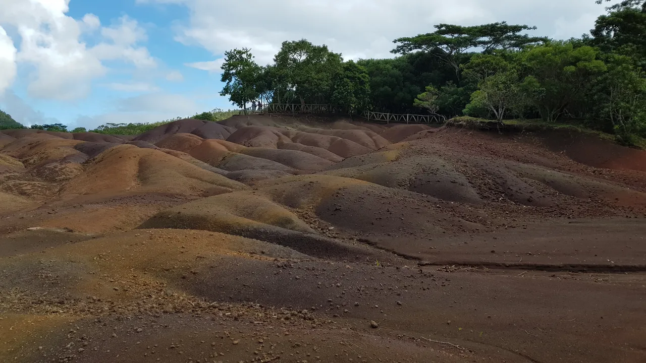 20180623_102433.jpg
