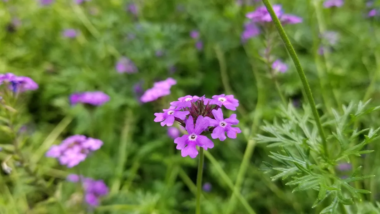 20180630_111259.jpg
