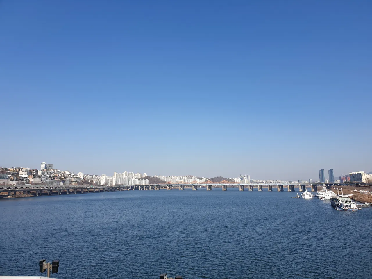 20190126_131627.jpg