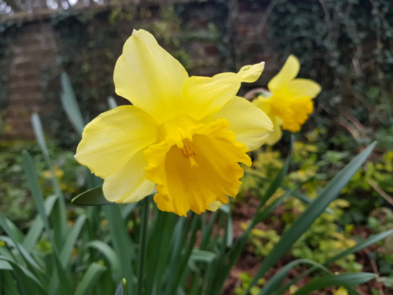 20190322_163402.jpg