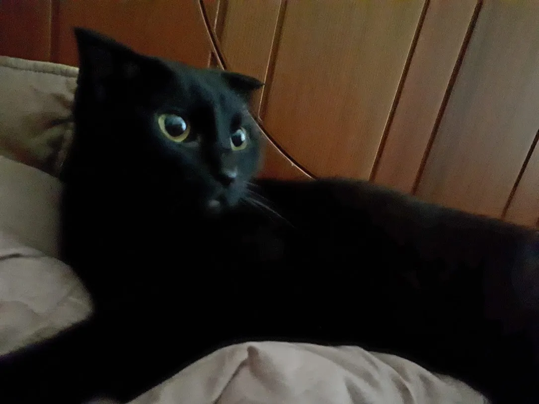 20181005_132308.jpg