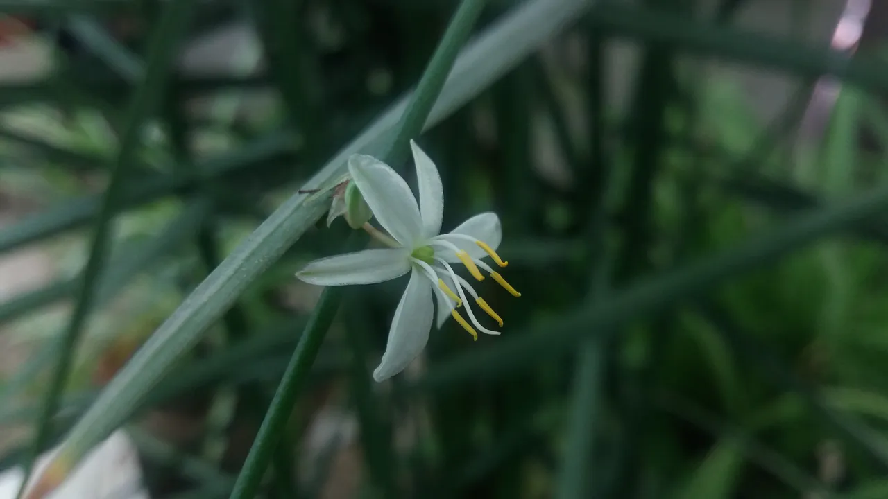 20180402_134506.jpg