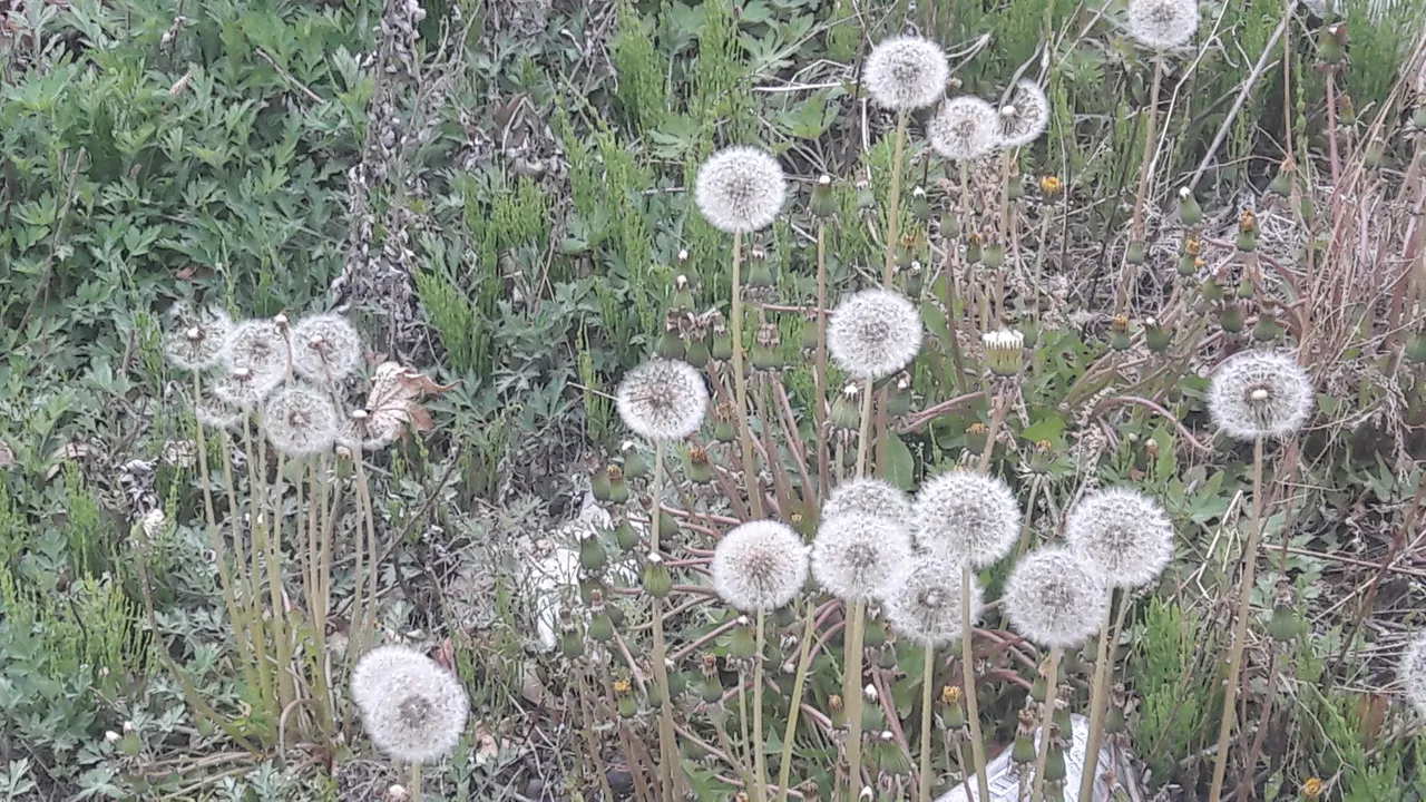 20190429_164812.jpg