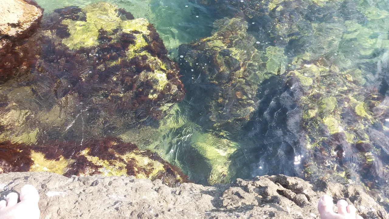 20190724_162653.jpg