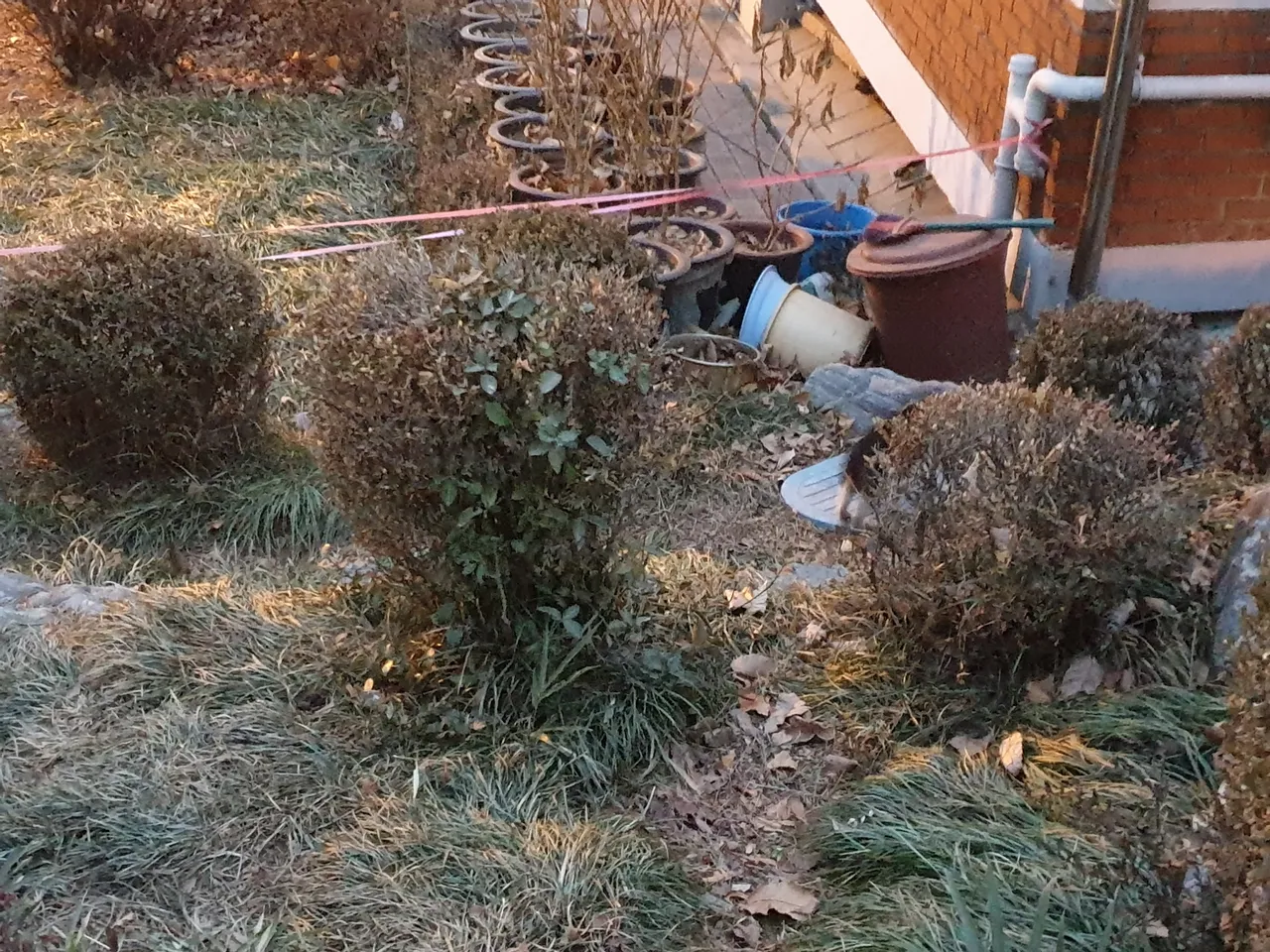 20190131_071827.jpg