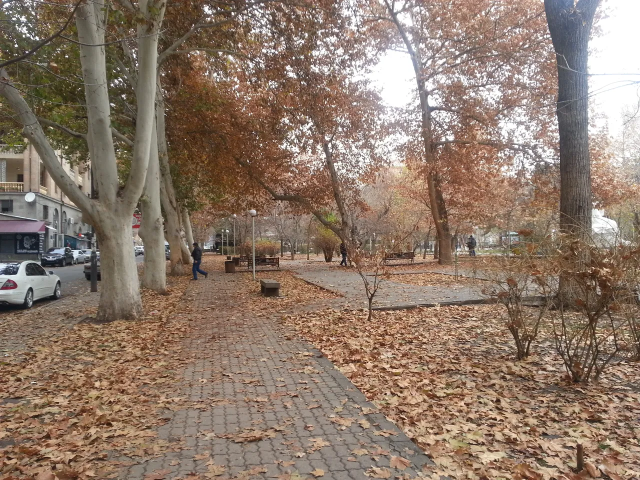 20141204_105755.jpg