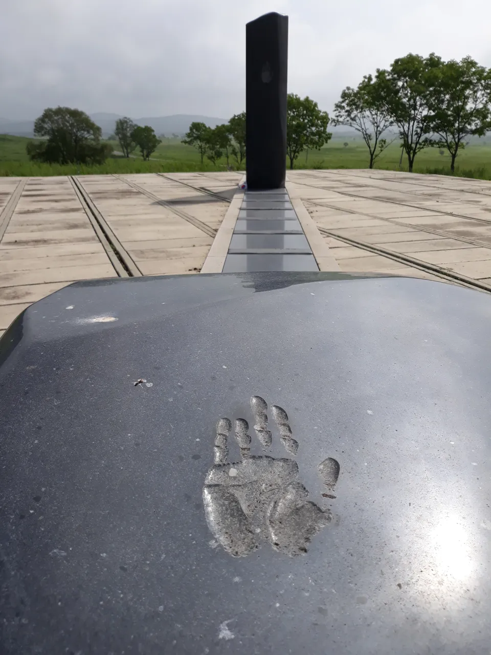 20180728_103822.jpg