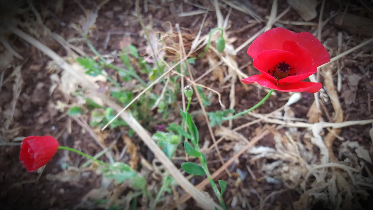 20180614_002151.jpg