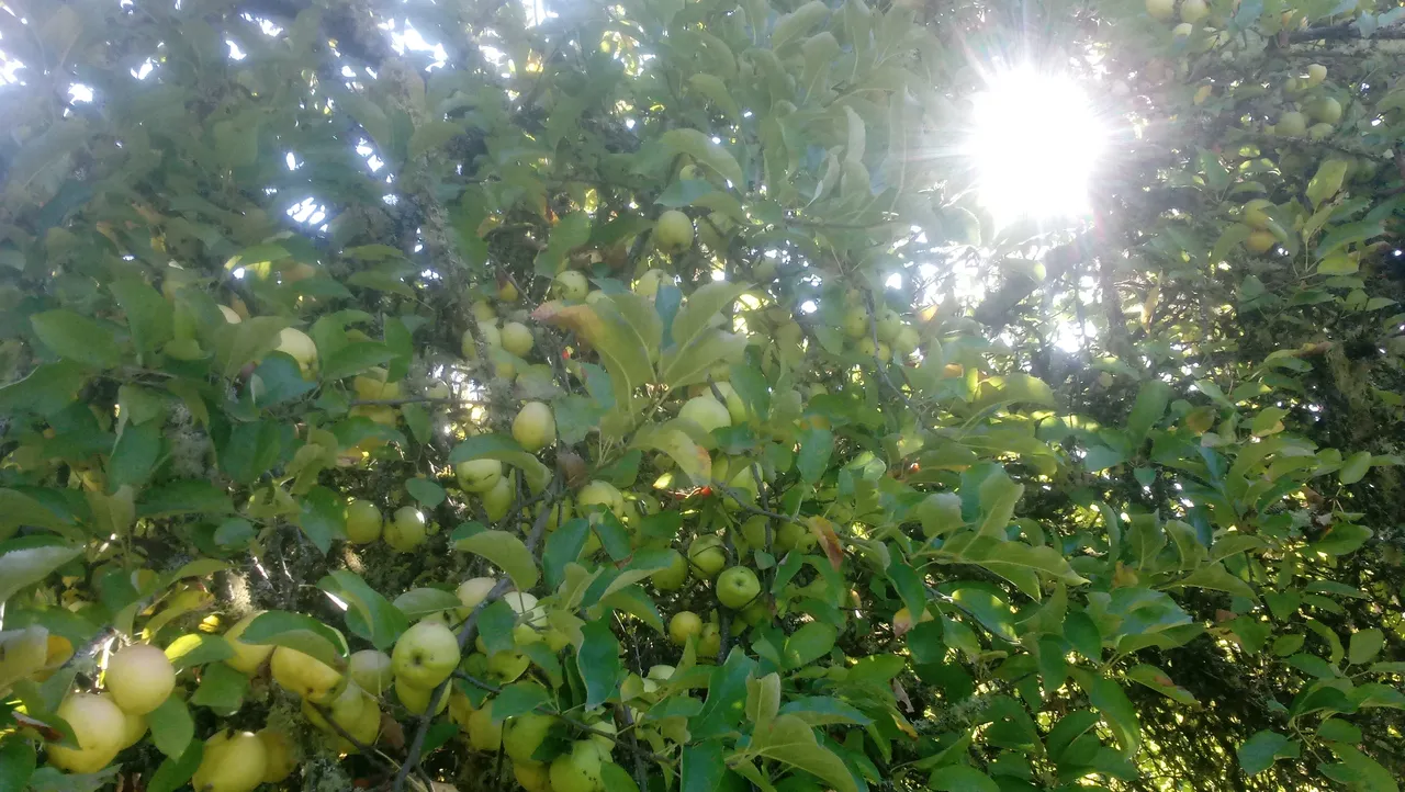 20181010_150718.jpg