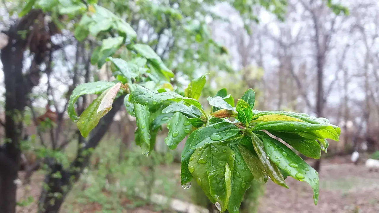 20190401_183240.jpg