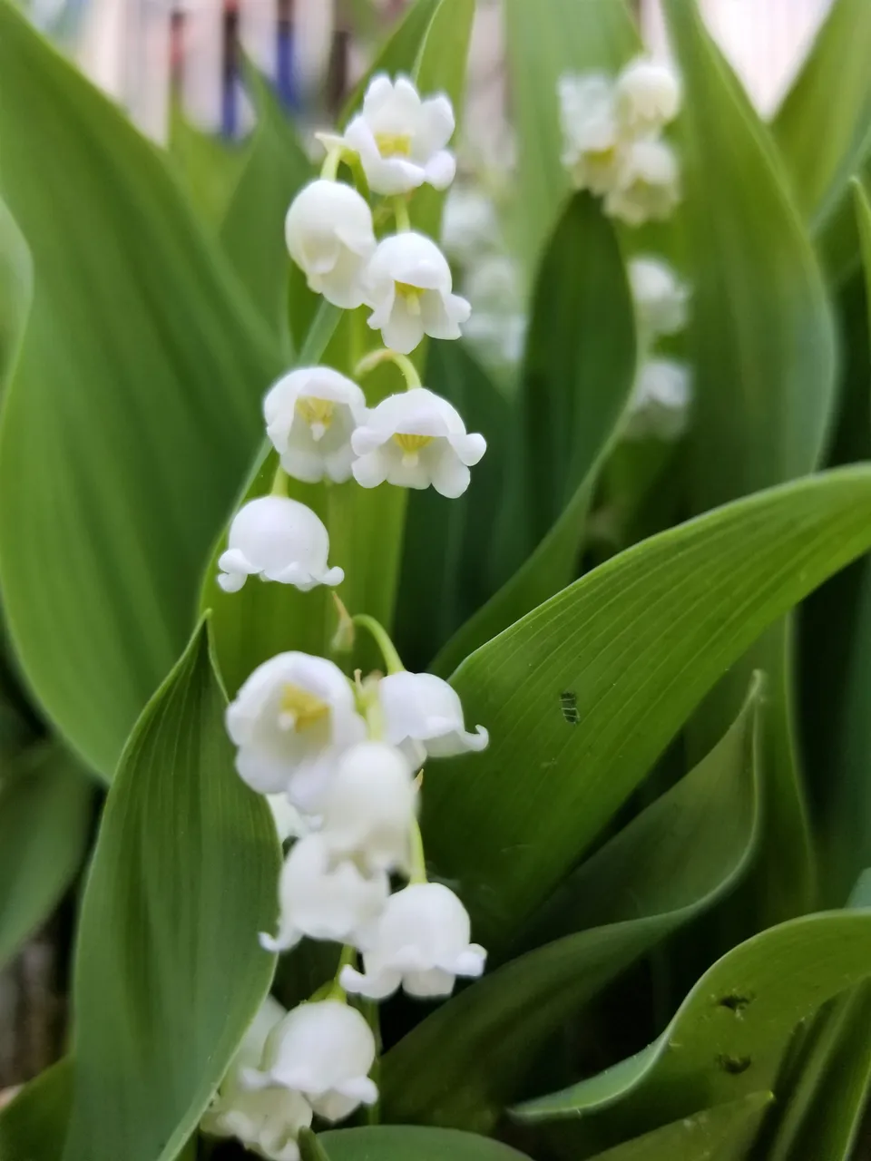 20180524_103945.jpg
