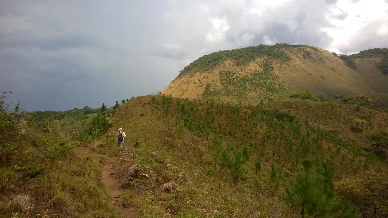 WP_20180509_018.jpg