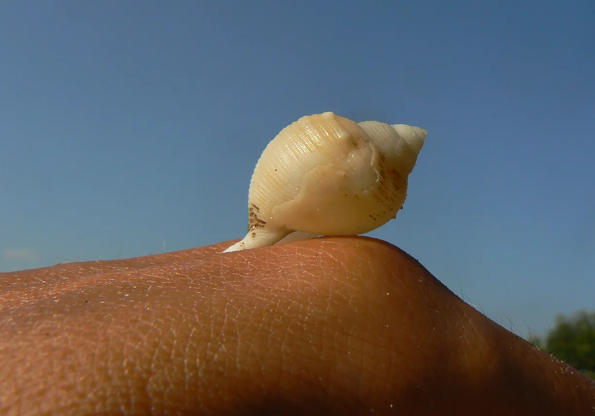 P1840594 malo.jpg