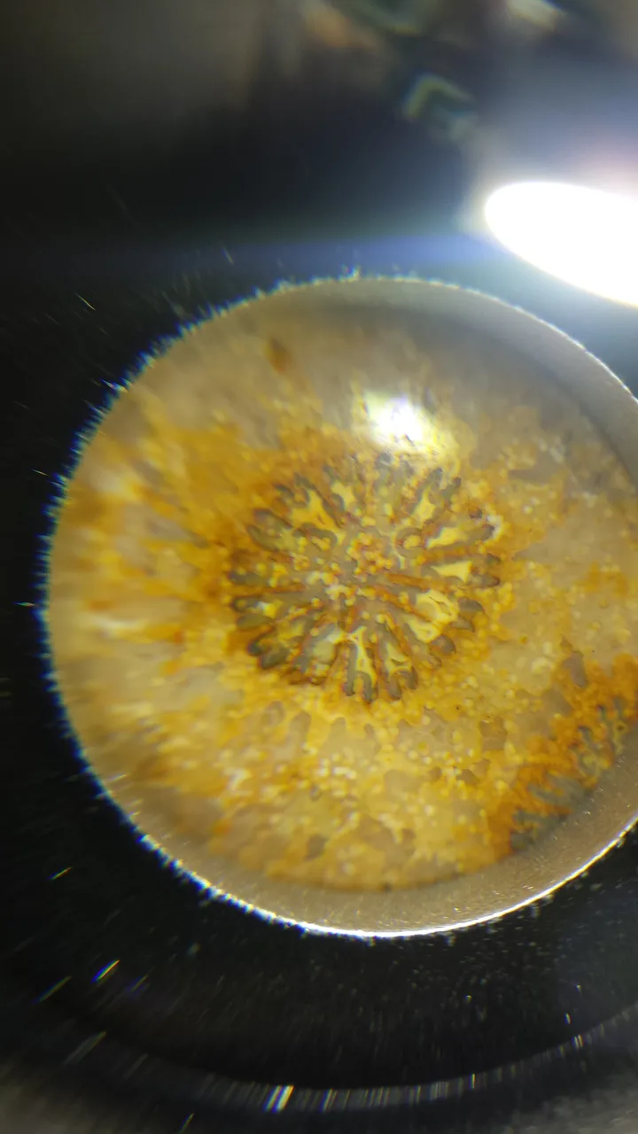 20190412_031216.jpg