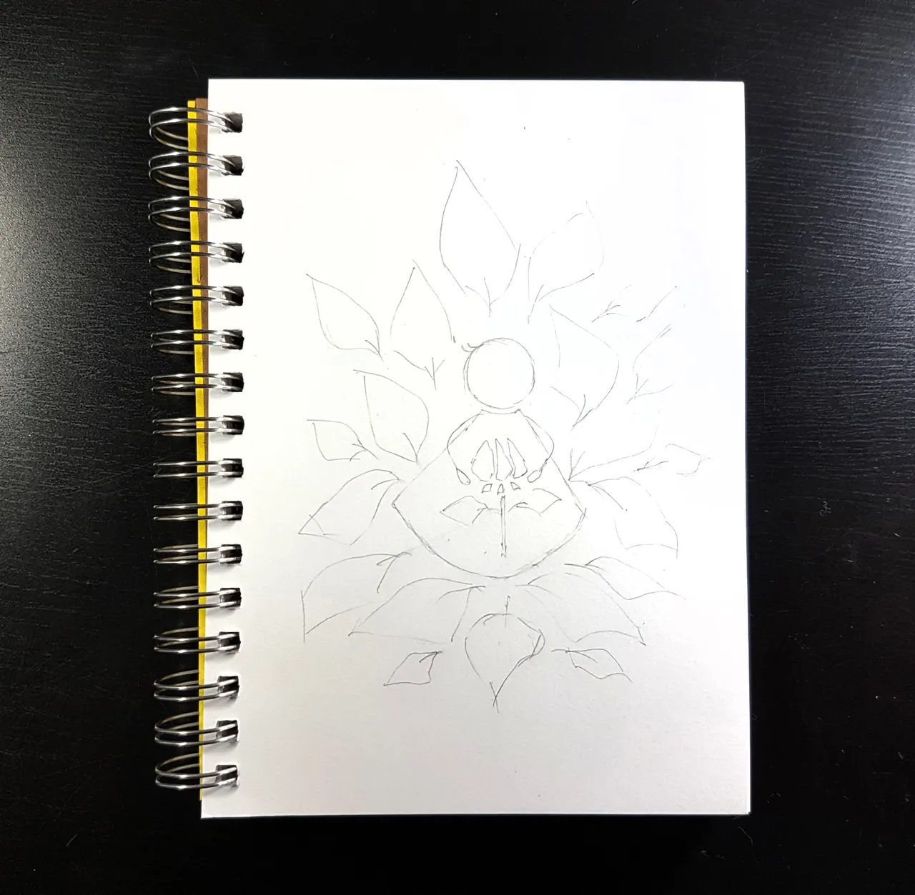 20180801_202451.jpg