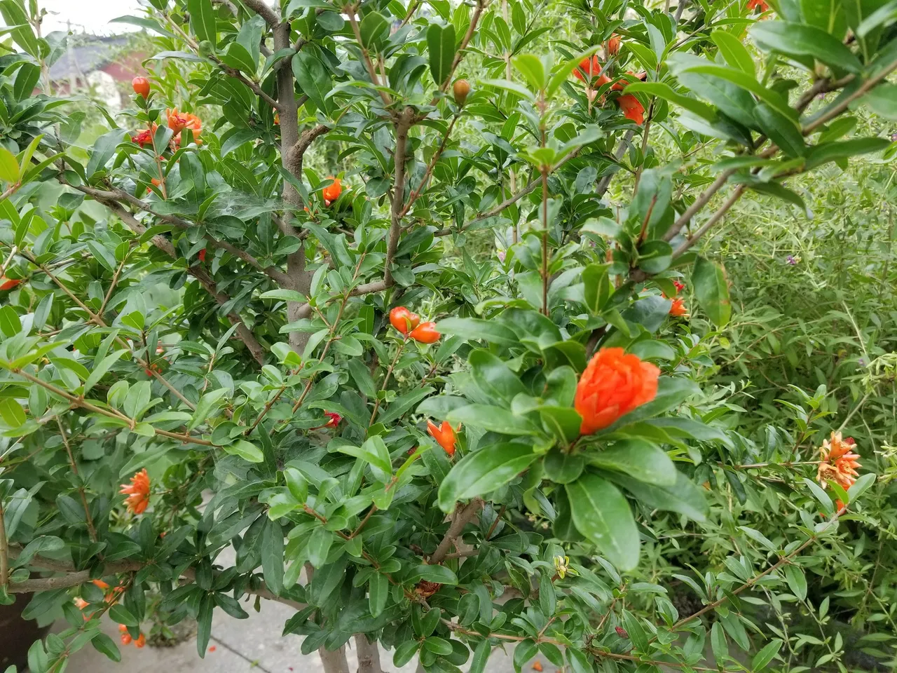 20180617_100212.jpg