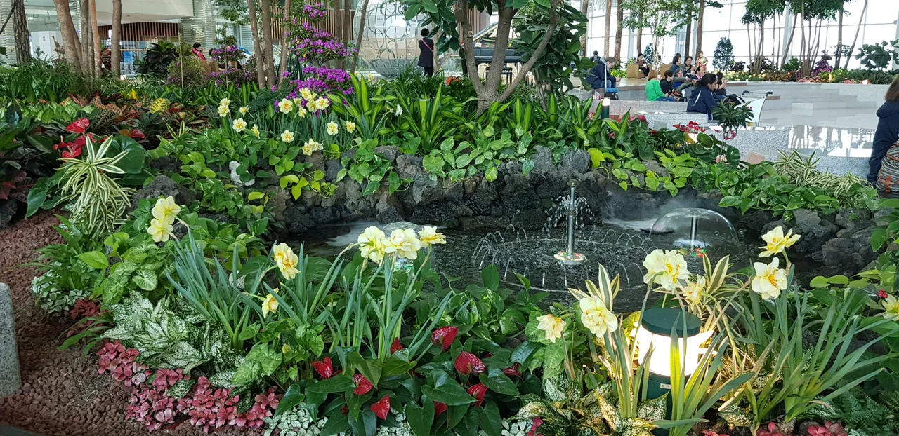 20190412_105522.jpg