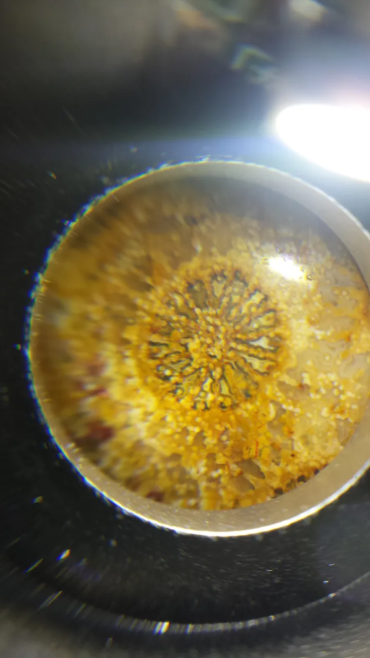 20190412_031223.jpg