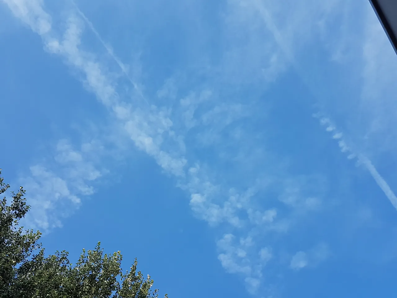20180809_084216.jpg