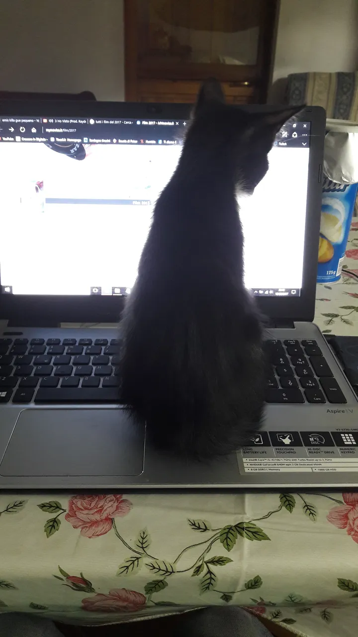20170910_201206.jpg