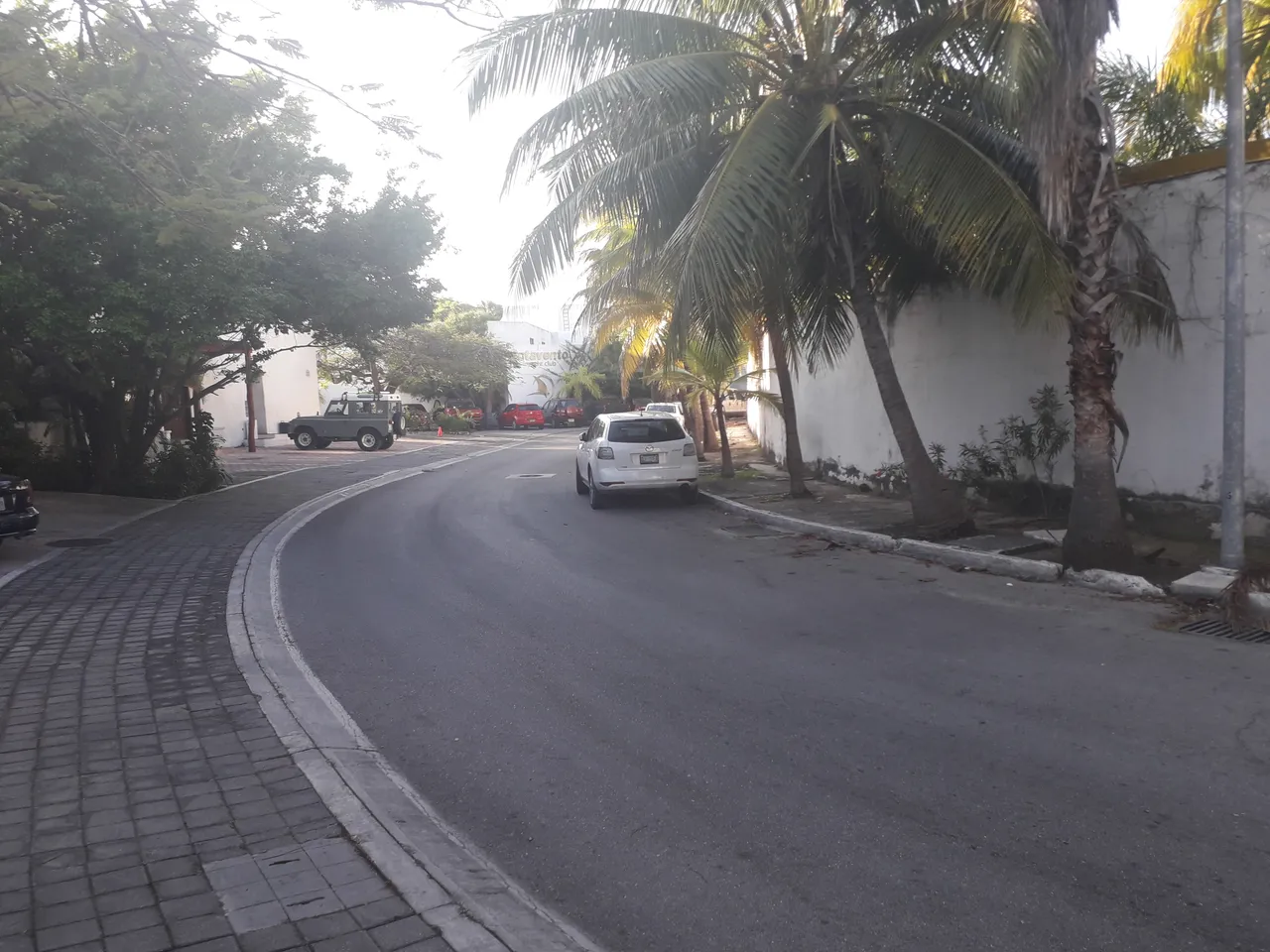 20190307_174225.jpg
